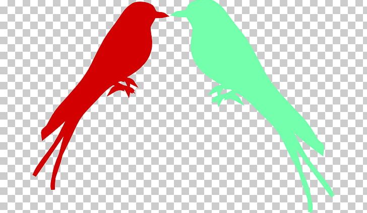 Macaw Parrot Beak PNG, Clipart, Animals, Beak, Bird, Branch, Clip Free PNG Download