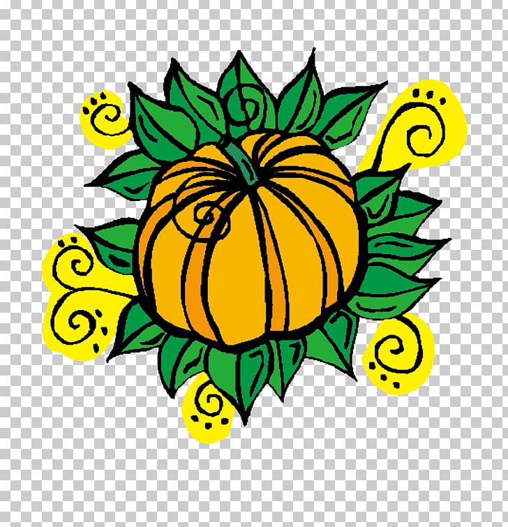 Visual Arts Pumpkin PNG, Clipart, Adobe Illustrator, Area, Artwork, Flower, Fruit Free PNG Download