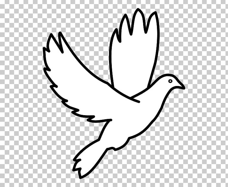 Chicken Bird Duck Columbidae Symbol PNG, Clipart, Animals, Art, Bird, Black And White, Chicken Free PNG Download