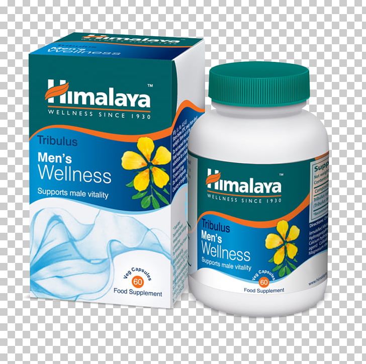 Dietary Supplement Himalayas Bindii Boerhavia Diffusa Health PNG, Clipart, Bindii, Dietary Supplement, Health, Health Fitness And Wellness, Herb Free PNG Download