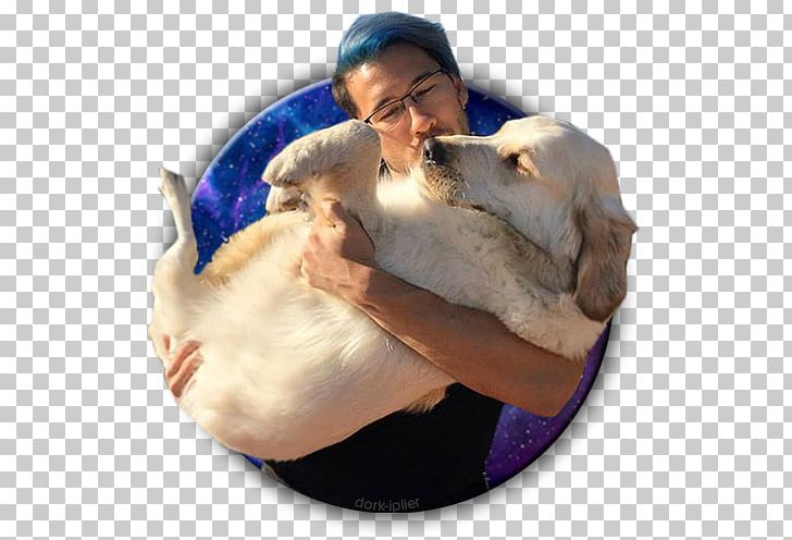 Markiplier YouTuber Puppy PNG, Clipart,  Free PNG Download