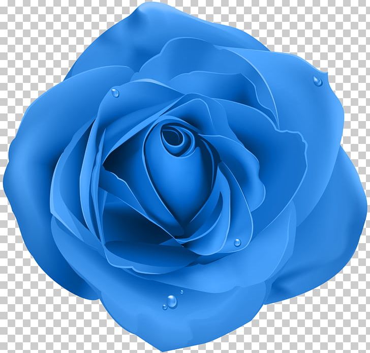 Rose Blue Transparent PNG, Clipart, Azure, Black Rose, Blue, Blue Rose, Clip Art Free PNG Download