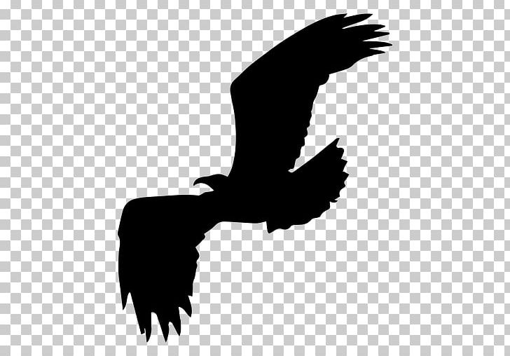 Bald Eagle Silhouette Bird PNG, Clipart, Accipitriformes, Animals, Arm, Bald, Bald Eagle Free PNG Download
