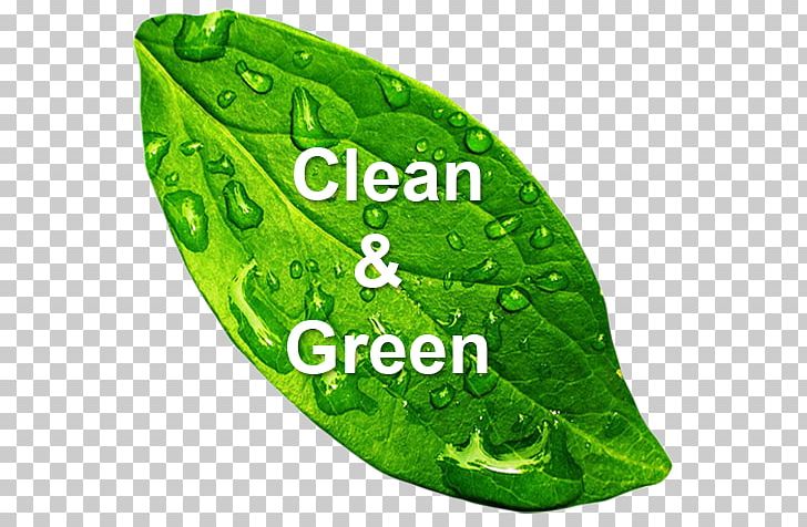 what is clean and green environment