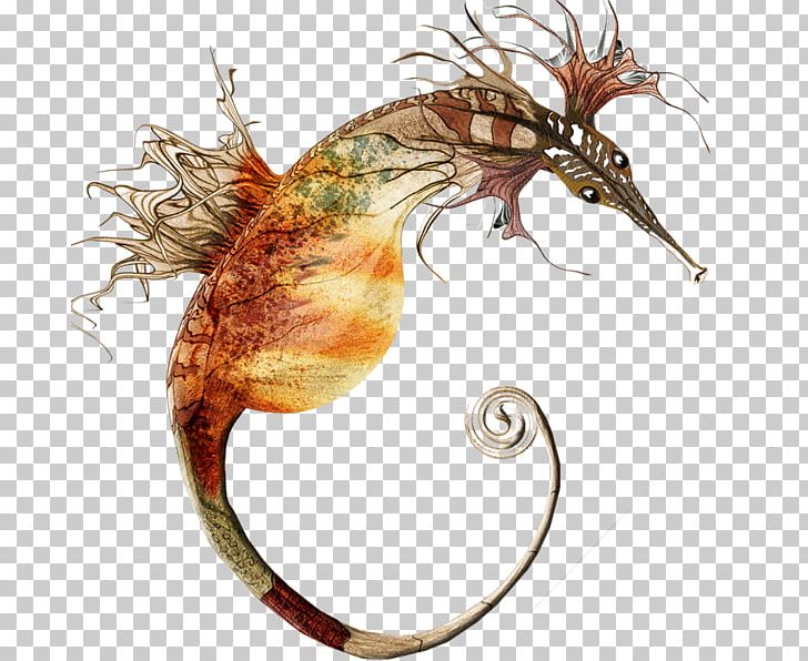Seahorse Leafy Seadragon Raleigh Common Seadragon PNG, Clipart, Common Seadragon, Creature, Discover Card, Discover Financial Services, Dragon Free PNG Download