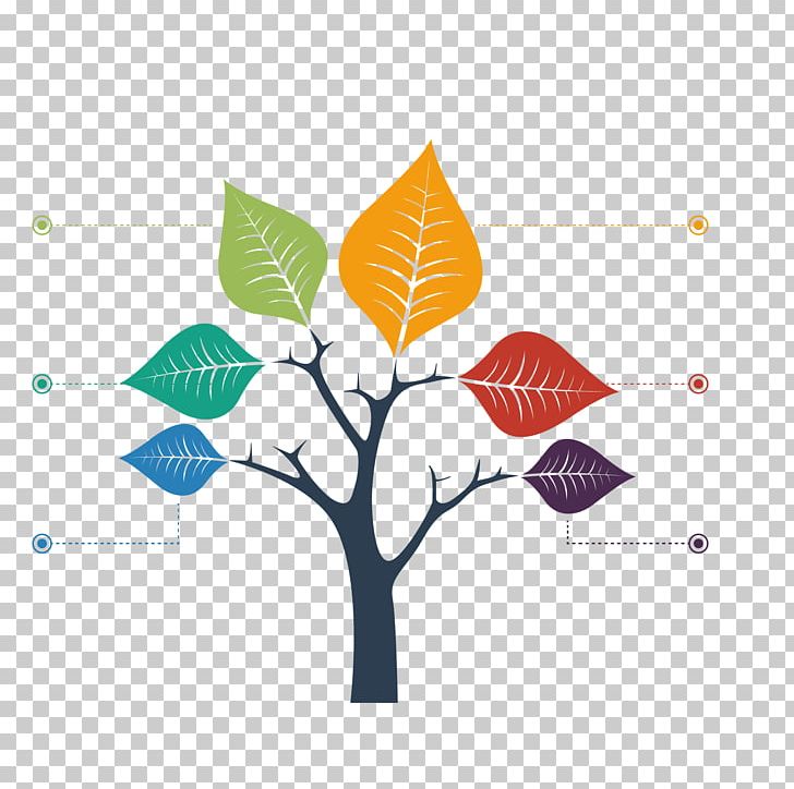 Tree Structure Chart Graph PNG, Clipart, Branch, Branching, Branch Tree, Branch Vector, Chart Free PNG Download