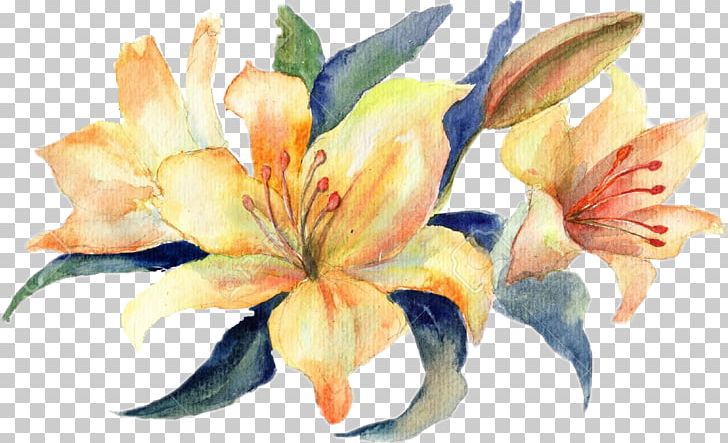 Watercolour Flowers Watercolor Painting Stock Photography Lilium PNG, Clipart, Amaryllis Belladonna, Art, Canna Family, Canna Lily, Cicekler Free PNG Download