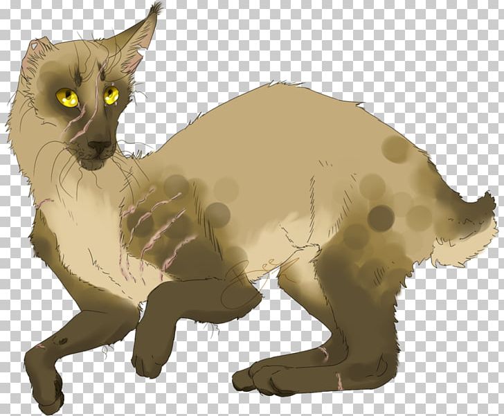 Whiskers Kitten Cat Dog Canidae PNG, Clipart, Animals, Canidae, Carnivoran, Cat, Cat Like Mammal Free PNG Download