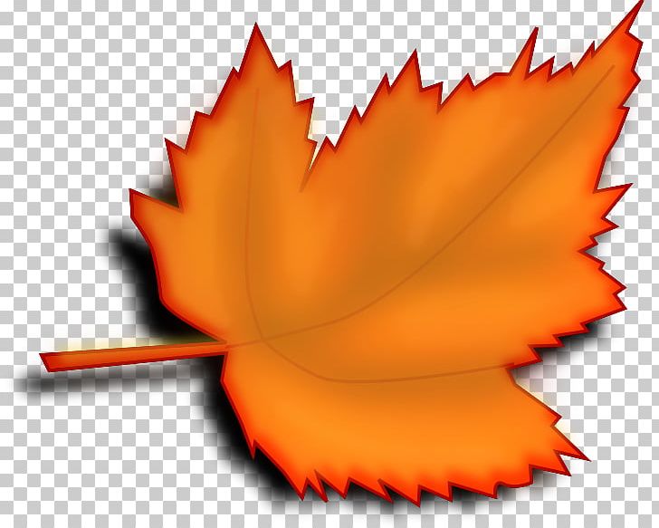 Autumn Leaf Color PNG, Clipart, Autumn, Autumn Leaf Color, Color, Flower, Leaf Free PNG Download