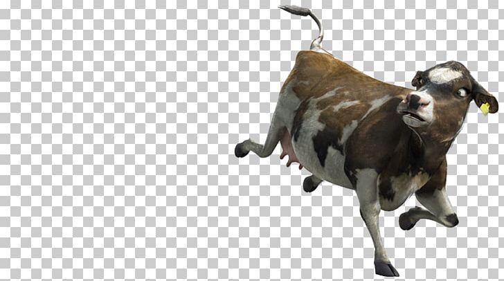 Goat Cattle Snout PNG, Clipart, Cattle, Cattle Like Mammal, Cow Goat Family, Dairy Farm, Goat Free PNG Download