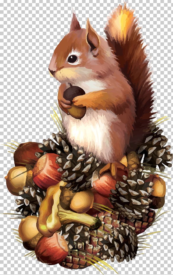 Red Squirrel Chipmunk PNG, Clipart, Animals, Chipmunk, Clip Art, Drawing, Eastern Gray Squirrel Free PNG Download