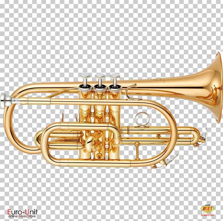 Soprano Cornet Musical Instruments Bore PNG, Clipart, Alto Horn, Besson, Bore, Brass, Brass Instrument Free PNG Download