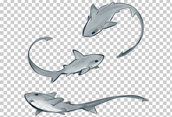 Thresher Shark Drawing Tiger Shark Remora PNG, Clipart, Animal, Animals, Art, Beast, Big Shark Free PNG Download