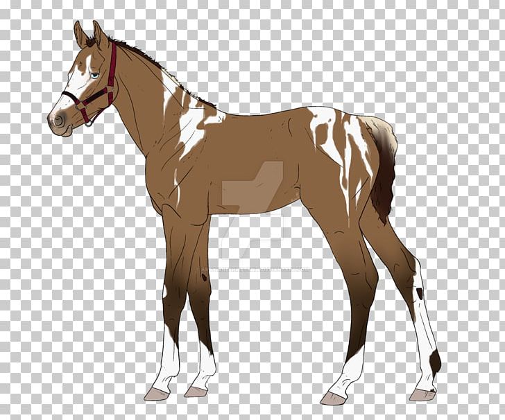 Mule Mare Colt Foal Stallion PNG, Clipart, 3d Computer Graphics, Appaloosa, Arabian Horse, Bridle, Colt Free PNG Download