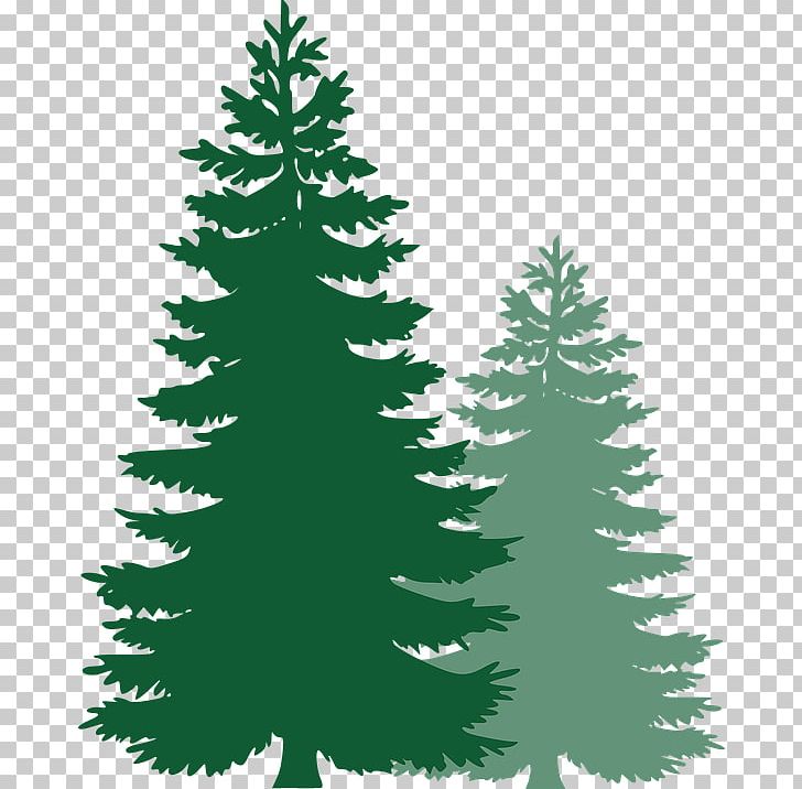 Tree Pine PNG, Clipart, Black And White, Blog, Christmas Decoration, Christmas Ornament, Christmas Tree Free PNG Download