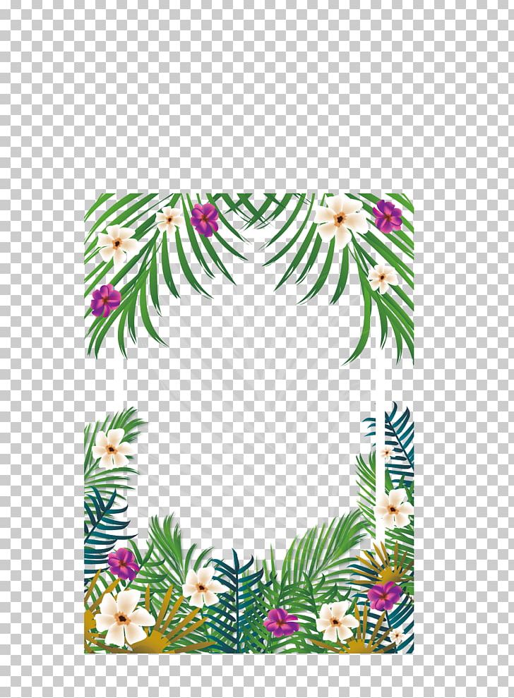 Tropics PNG, Clipart, Computer Icons, Decorative Patterns, Design, Download, Drawing Free PNG Download