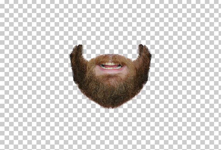 World Beard And Moustache Championships PNG, Clipart, Beard, Bearded, Beard Man, Beard Man 24 2 1, Beard Pictures Free PNG Download