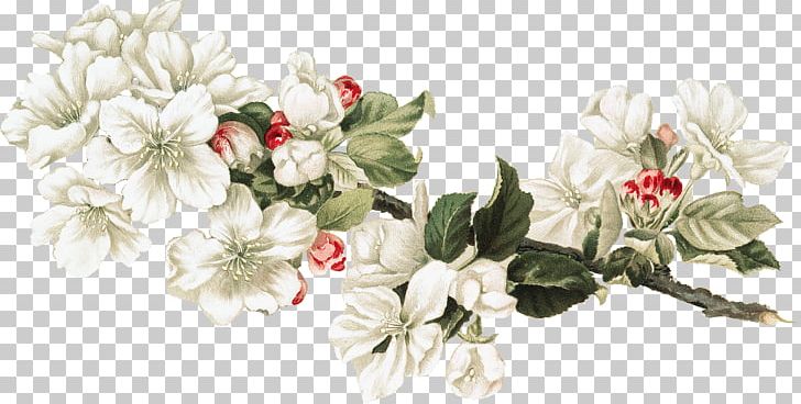 Floral Design Cut Flowers Honey Collage PNG, Clipart, Artificial Flower, Artist, Blossom, Branch, Cherry Blossom Wedding Free PNG Download