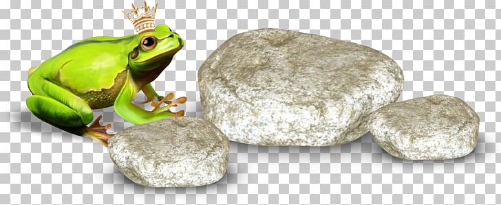 The Frog Prince PNG, Clipart, After, Amphibian, Animals, Big Stone, Blog Free PNG Download