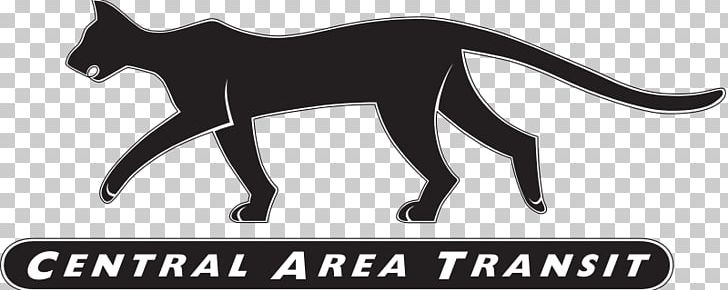 Cat Perth Central Area Transit Bus Fremantle PNG, Clipart, Animals, Black, Black And White, Bus, Carnivoran Free PNG Download