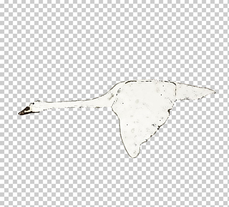 Feather PNG, Clipart, Beak, Bird, Feather, Seabird, Snowy Owl Free PNG Download