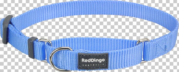 Dog Collar Dingo Martingale PNG, Clipart, Animals, Blue, Blue Collar, Collar, Color Free PNG Download