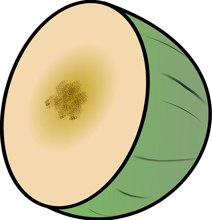 Honeydew Cantaloupe Melon Fruit PNG, Clipart, Cantaloupe, Circle, Cucumis, Eye, Food Free PNG Download