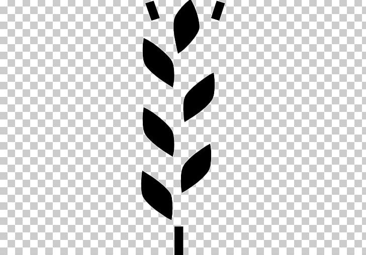 Line Angle White PNG, Clipart, Angle, Art, Black And White, Branch, Leaf Free PNG Download