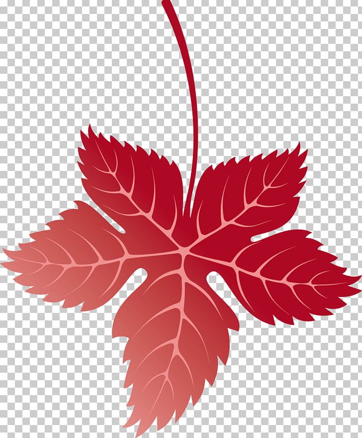 Maple Leaf Autumn PNG, Clipart, Autumn, Autumn Elements, Autumn Leaf Color, Autumn Vector, Christmas Decoration Free PNG Download
