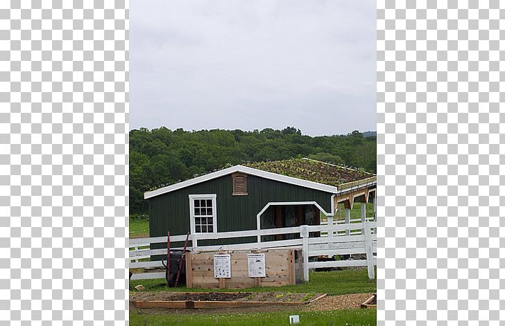 Property Pasture Roof PNG, Clipart, Area, Barn, Cottage, Eastern Prickly Pear, Estate Free PNG Download