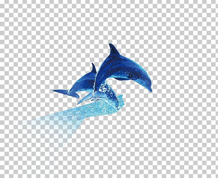 Common Bottlenose Dolphin Killer Whale PNG, Clipart, Animals, Blue, Bottlenose Dolphin, Cartoon Dolphin, Computer Wallpaper Free PNG Download