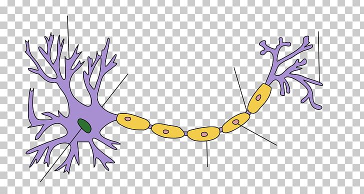 Lower Motor Neuron Soma Upper Motor Neuron PNG, Clipart, Angle, Area, Art, Artwork, Axon Free PNG Download