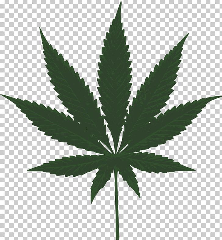 Medical Cannabis Hemp Leaf PNG, Clipart, Cannabis, Cannabis Png, Free, Hash Marihuana Hemp Museum, Hemp Free PNG Download