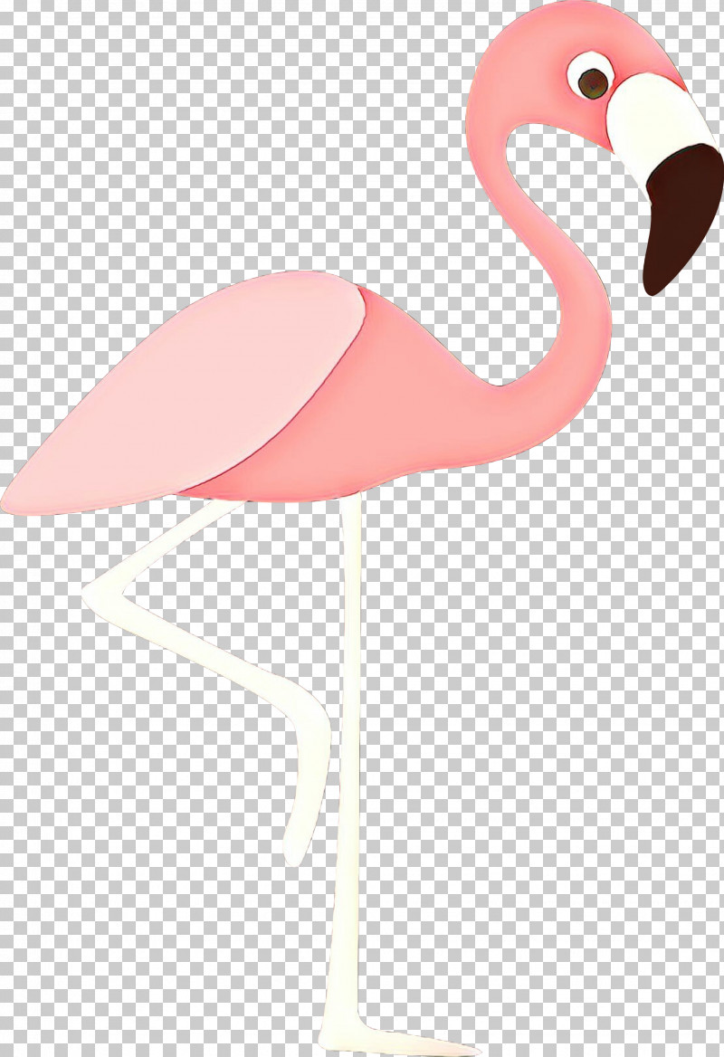 Flamingo PNG, Clipart, Beak, Bird, Flamingo, Greater Flamingo, Pink Free PNG Download