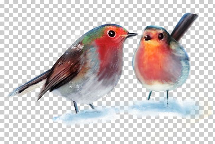Bird Binary File PNG, Clipart, Animaatio, Aves, Beak, Binary File, Bird Free PNG Download