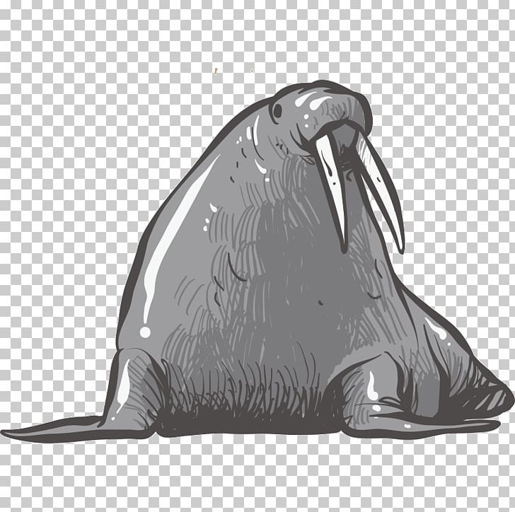 Earless Seal Walrus Reindeer Drawing PNG, Clipart, Animal, Animals, Bear, Black And White, Cartoon Free PNG Download