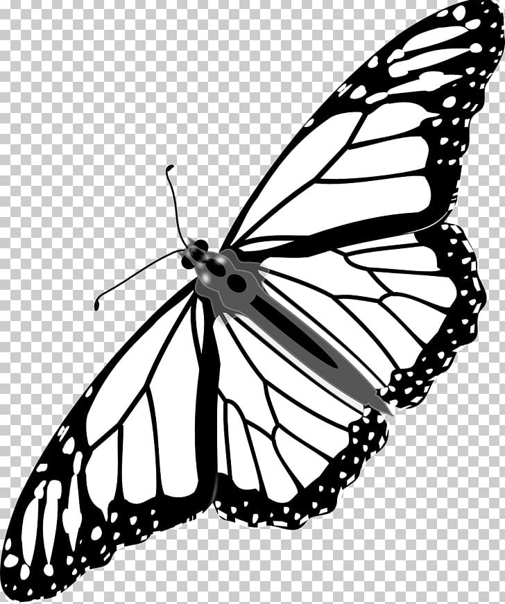 Monarch Butterfly Drawing Line Art PNG, Clipart, Arthropod, Bicycle Wheel, Black And White, Brush Footed Butterfly, Butterfly Free PNG Download