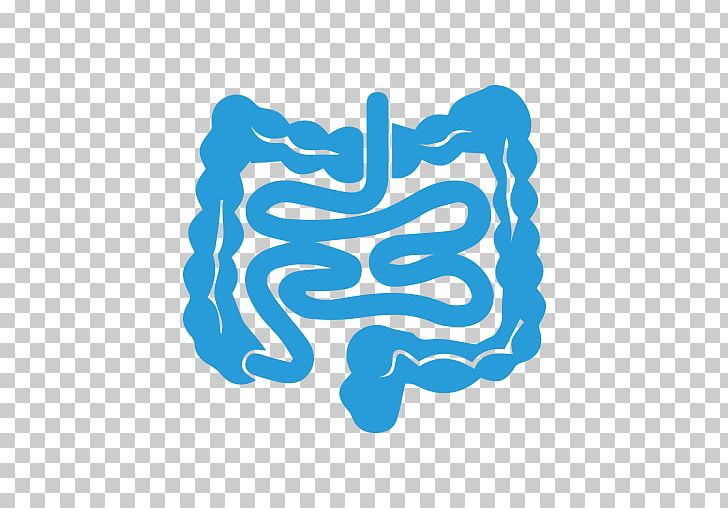 Organ Human Body Gastrointestinal Tract Pancreas PNG, Clipart, Abdomen, Abdominal Pain, Anatomy, Area, Brain Free PNG Download
