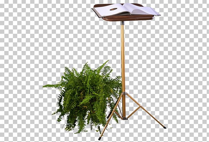 Product Design Tree Flowerpot PNG, Clipart, Flowerpot, Nature, Plant, Tree, Wooden Podium Free PNG Download