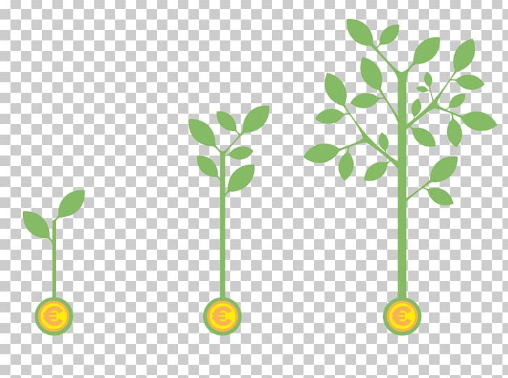 Infographic Plant PNG, Clipart, Branch, Food Drinks, Grass, Green, Infographic Free PNG Download