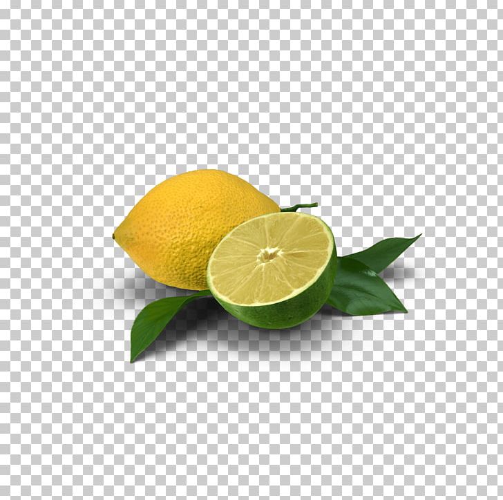 Lemon-lime Drink Lemon-lime Drink Key Lime Persian Lime PNG, Clipart, 3d Computer Graphics, Citric Acid, Citron, Citrus, Citrus Junos Free PNG Download