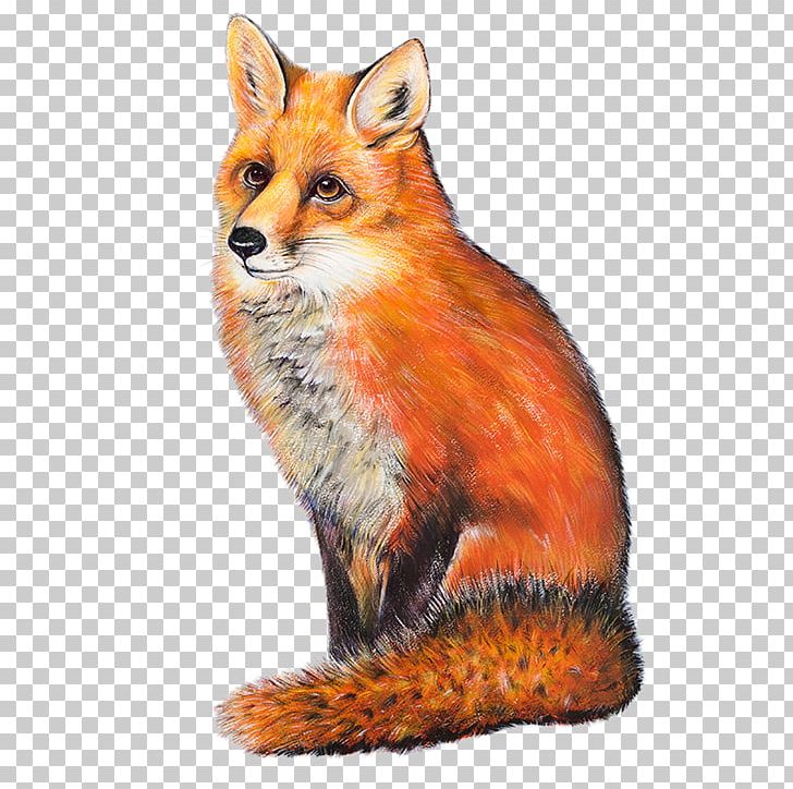 The Red Fox Neston Thornton Hough PNG, Clipart, Animal, Animals, Bar, Canidae, Carnivoran Free PNG Download
