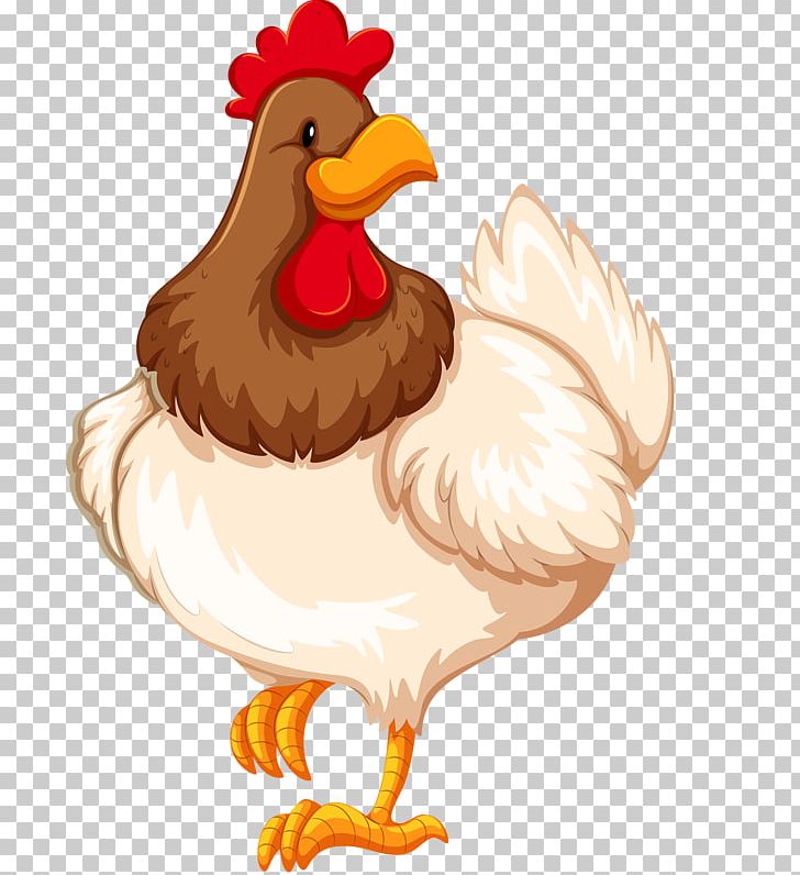 Chicken PNG, Clipart, Animals, Art, Beak, Bird, Chicken Free PNG Download