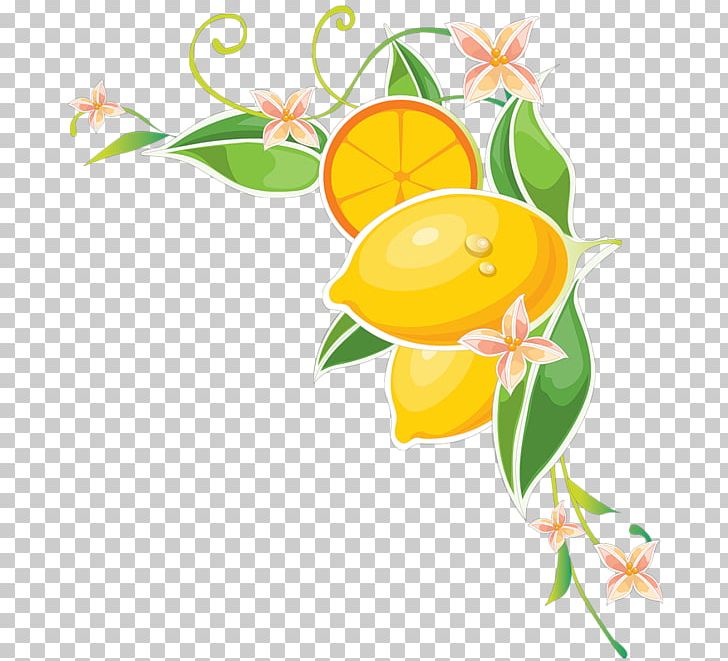 Lemon Juice PNG, Clipart, Artwork, Branch, Citrus, Computer Wallpaper, Flora Free PNG Download