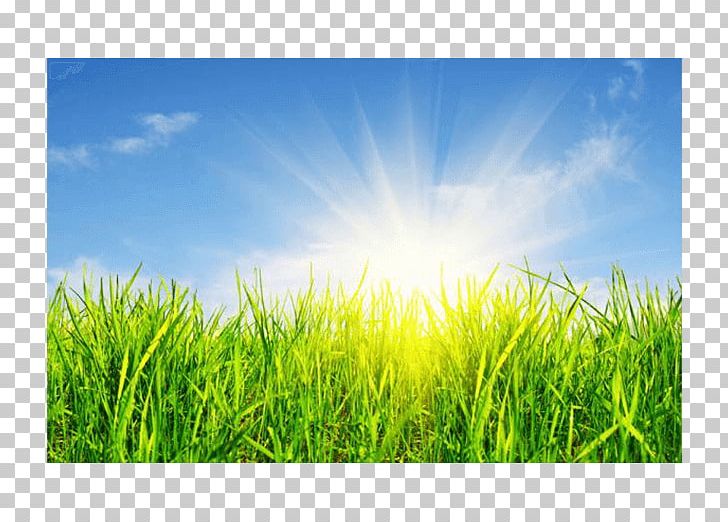 Stock Photography PNG, Clipart, Agriculture, Can Stock Photo, Computer Wallpaper, Crop, Daytime Free PNG Download