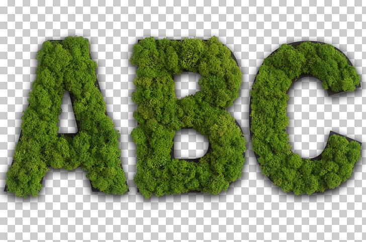 StyleGreen By Shopwork GmbH Reindeer Lichen Letter Iceland Moss PNG, Clipart, Bryophyte, Cartoon, Gmbh, Grass, Green Free PNG Download