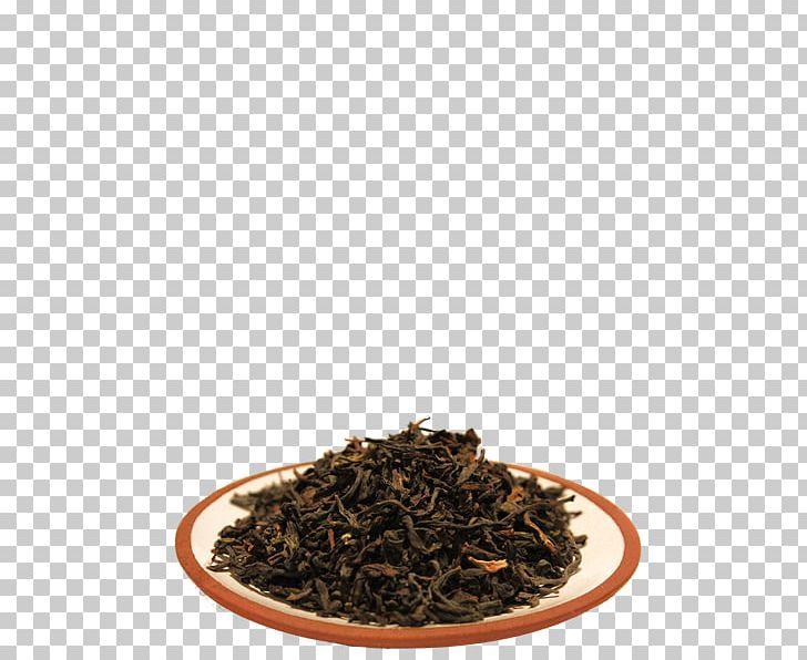 Tea Plant Dianhong Nilgiri Tea Gunpowder Tea PNG, Clipart,  Free PNG Download