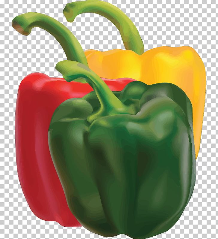 Capsicum Bell Pepper PNG, Clipart, Bell Peppers And Chili Peppers, Black Pepper, Cayenne Pepper, Chili Pepper, Food Free PNG Download