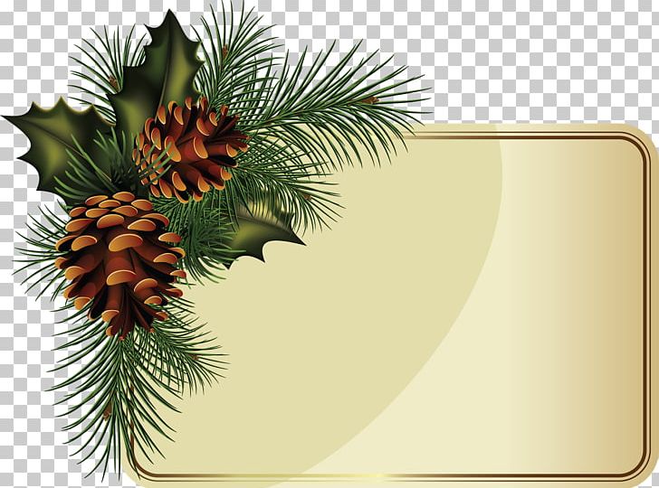 Fir Borders And Frames Conifer Cone Spruce PNG, Clipart, Borders And Frames, Branch, Christmas Decoration, Christmas Ornament, Cone Free PNG Download