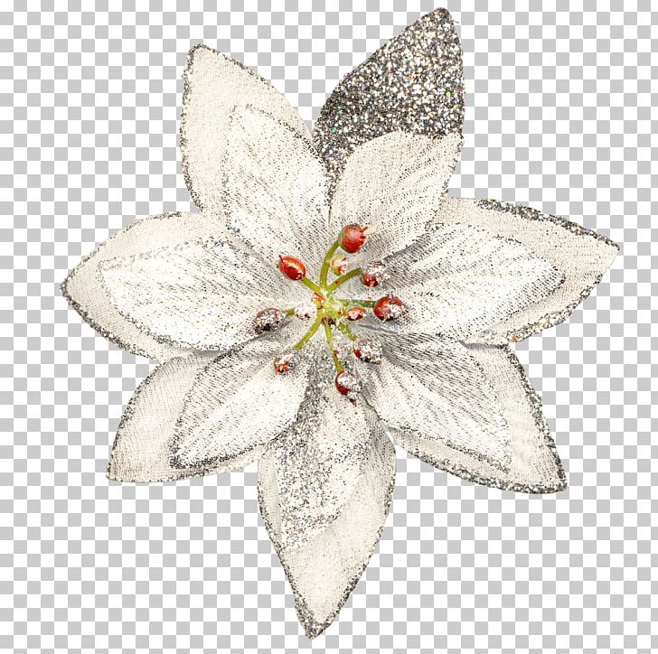 Flower Petal PNG, Clipart, Bowknot, Christmas, Download, Fashion, Flower Free PNG Download